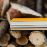 Warum brennt zu trockenes Holz nicht: die Eigenschaften des Brennstoffs erklärt