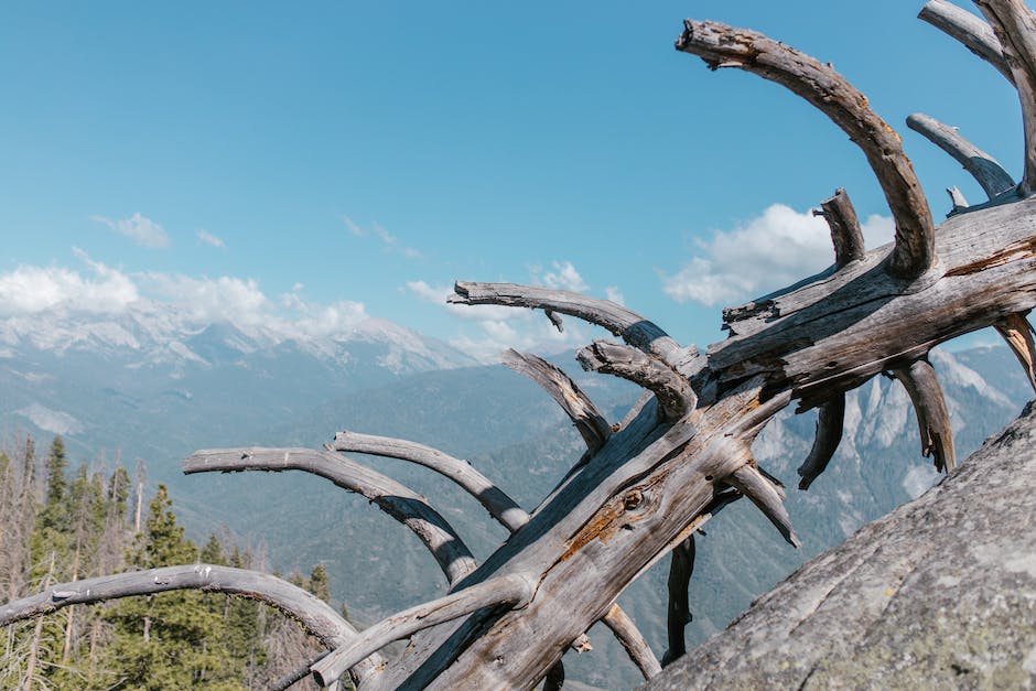 Fenteer Stapelbarer Spaghetti-Trockenständer Aus Holz - Dörrgerät Für Obst & Fleisch