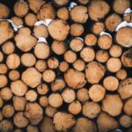 Gewicht von 1 Ster Holz