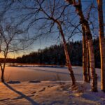 ölen von Holz mit Öl-Informationen